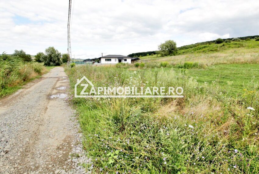 property_image_1743624_3