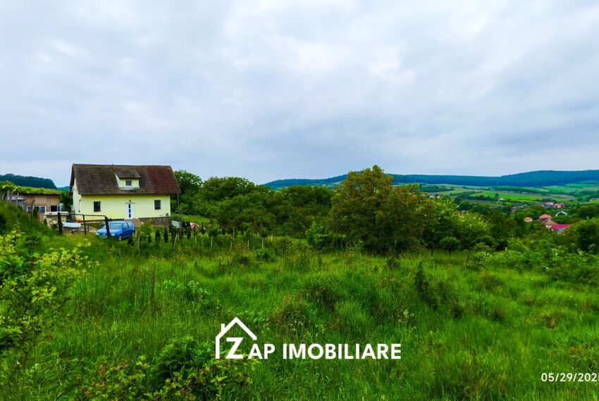 property_image_2561627_6