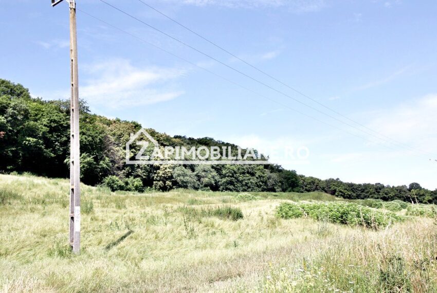 property_image_1733659_3