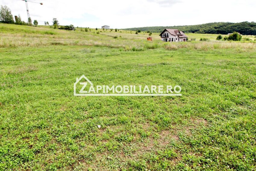 property_image_1743624_4