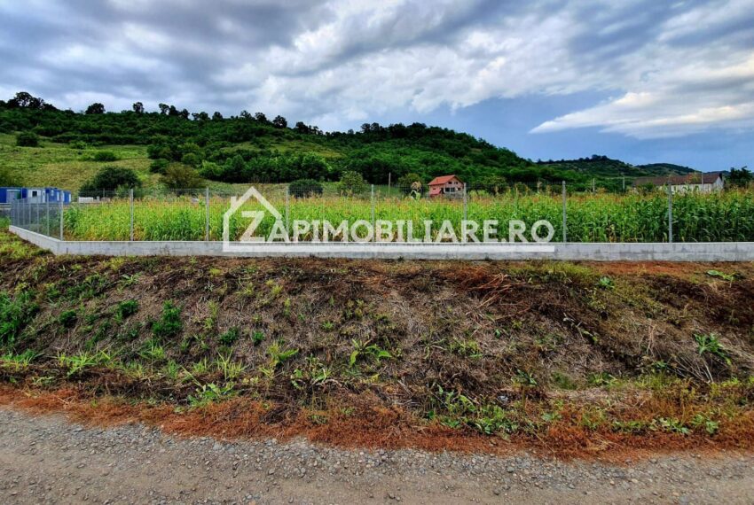 property_image_1007604_2