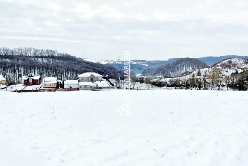 property_image_1658818_7