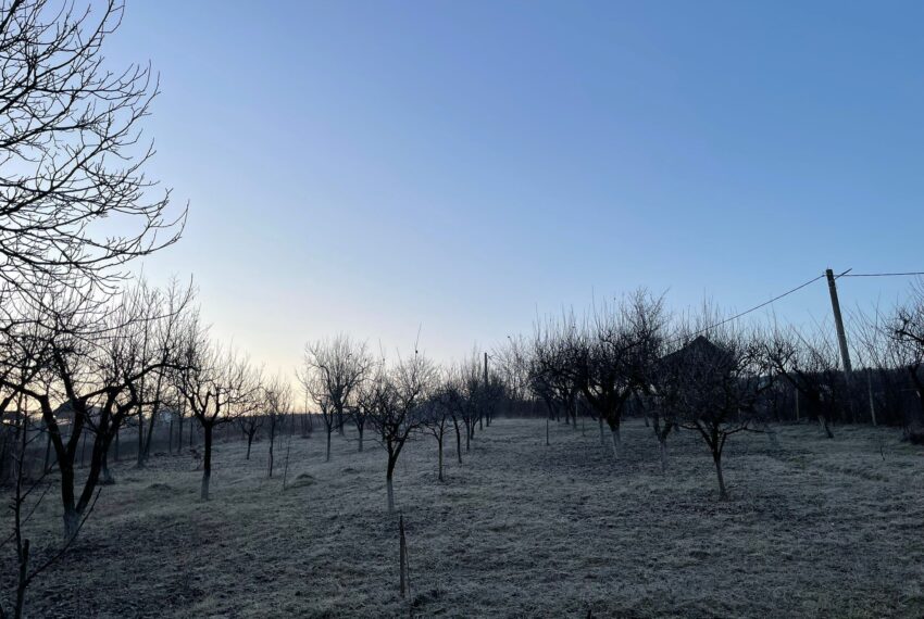 property_image_1358665_1