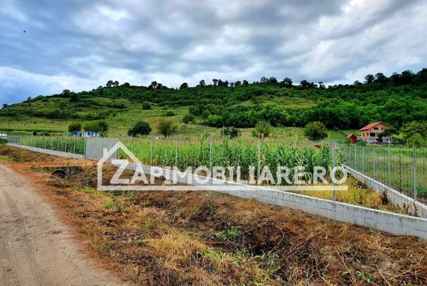 property_image_1007604_1