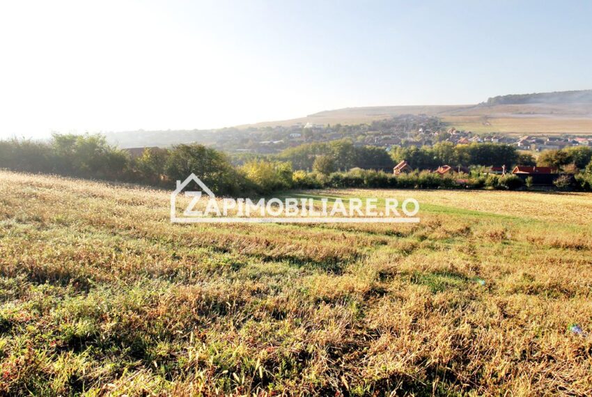 property_image_1791414_4