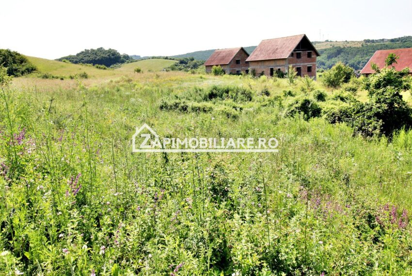 property_image_1728573_4
