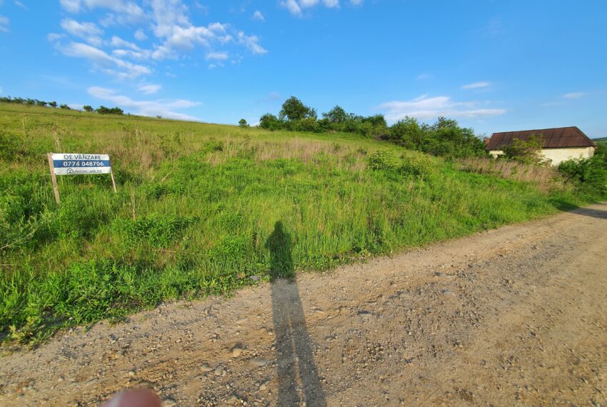 property_image_645810_5