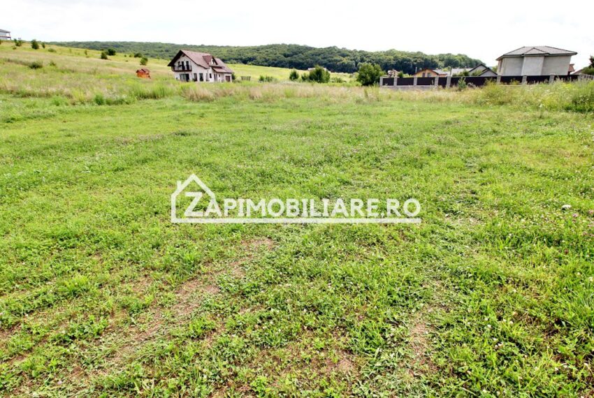 property_image_1743624_0