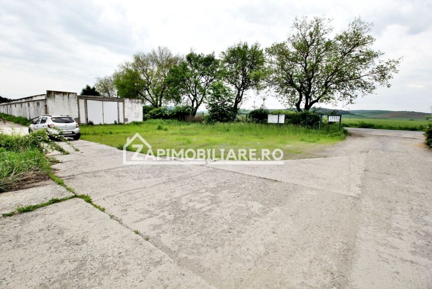 property_image_718195_0