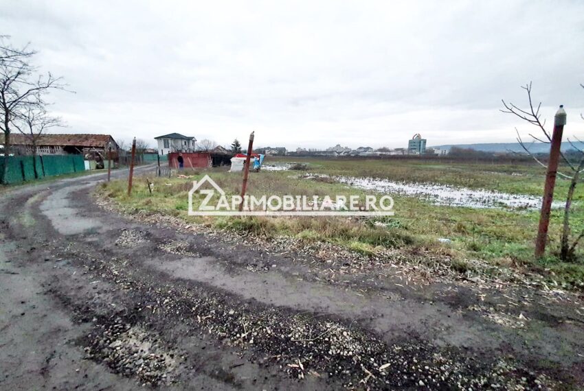 property_image_1634549_3