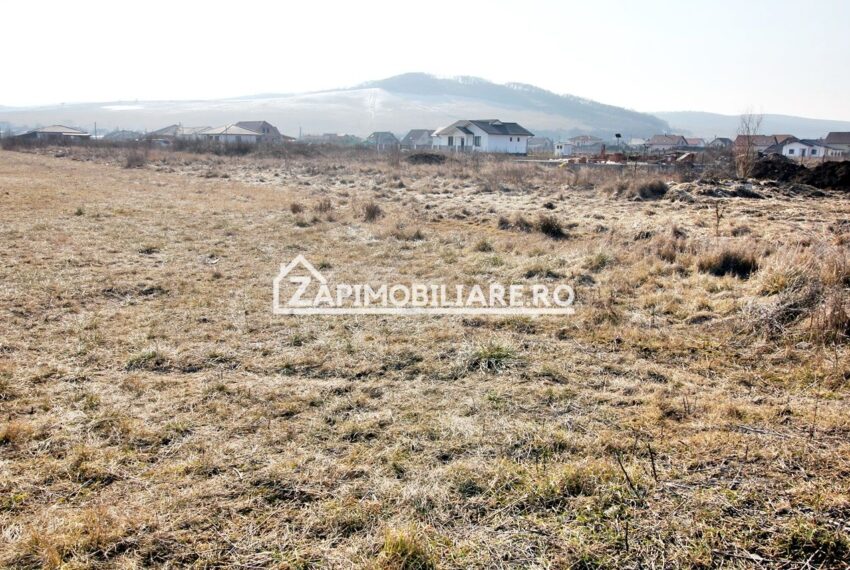 property_image_2335591_1