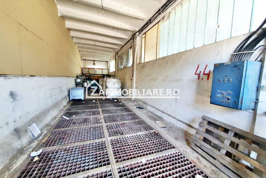 property_image_1696034_1