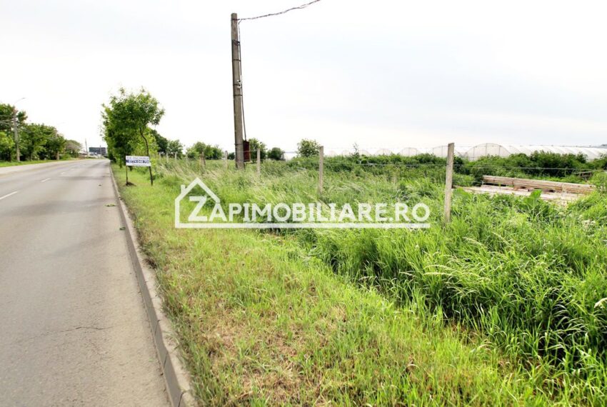 property_image_1715800_3