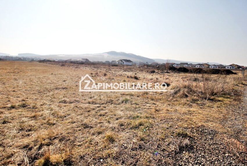 property_image_2335591_2