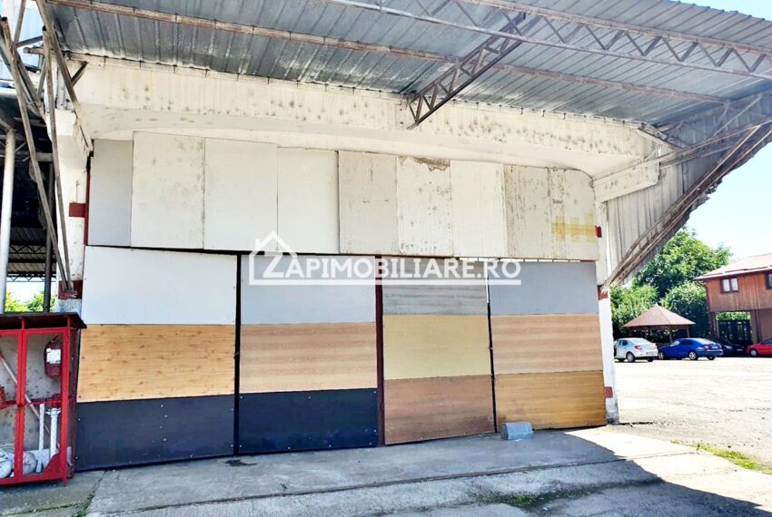 property_image_1696034_4