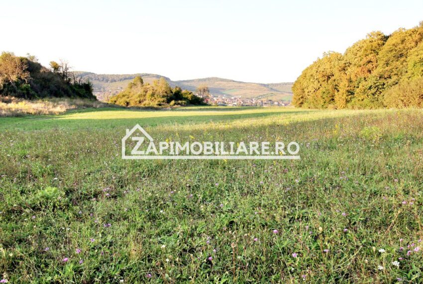 property_image_1785742_3