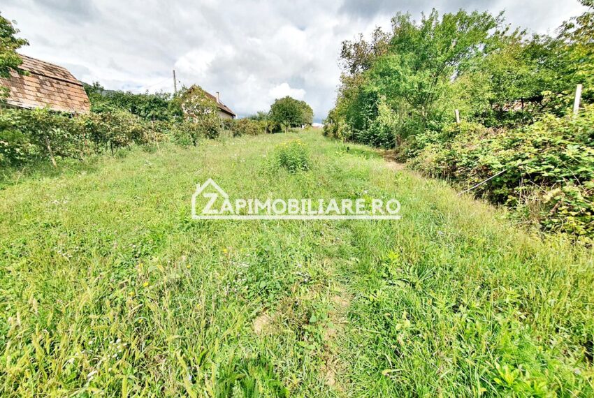 property_image_1591709_10