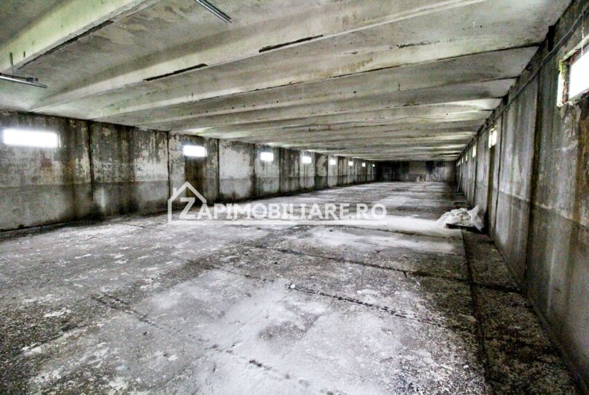 property_image_718195_3