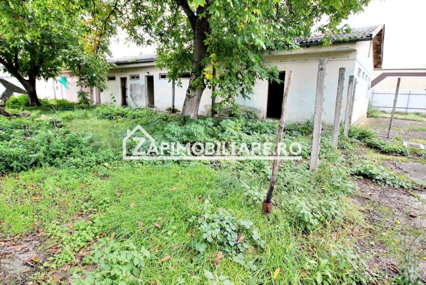 property_image_1630163_2