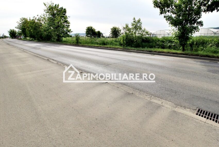 property_image_1715800_6