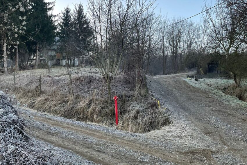 property_image_1358665_3