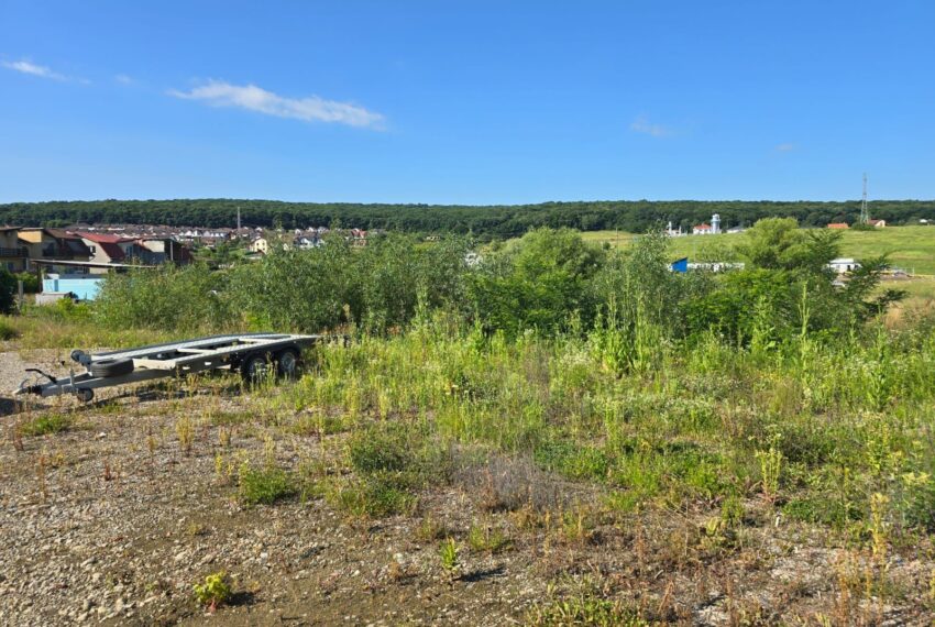 property_image_2056135_4