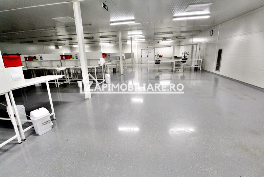 property_image_1362921_7