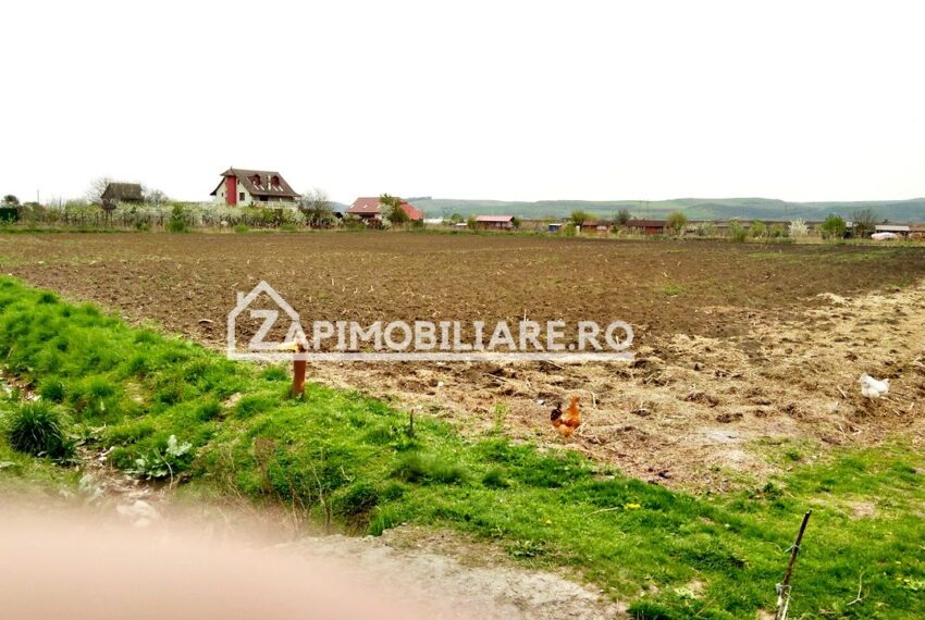 property_image_519464_5