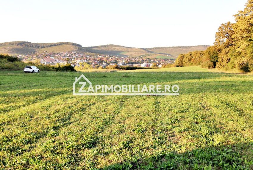 property_image_1785742_0