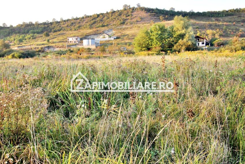 property_image_1785742_6