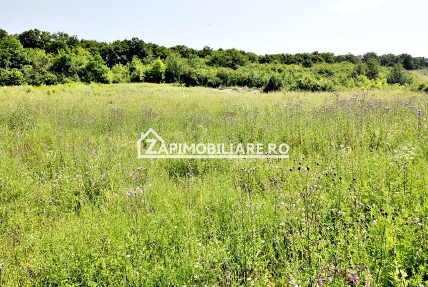 property_image_1728573_5