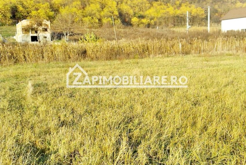 property_image_609380_9