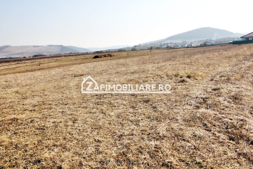 property_image_2335591_5