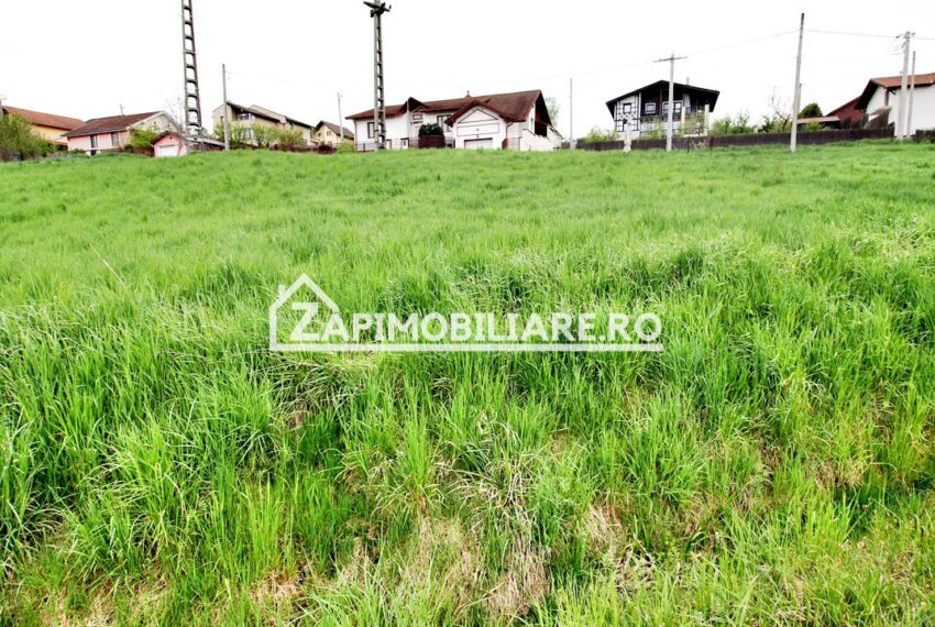 property_image_1702808_6