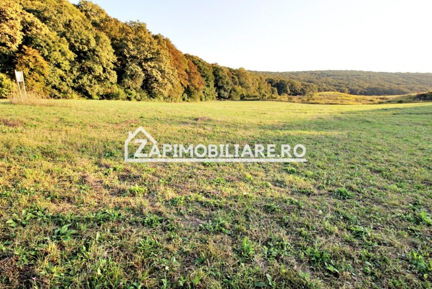 property_image_1785742_1