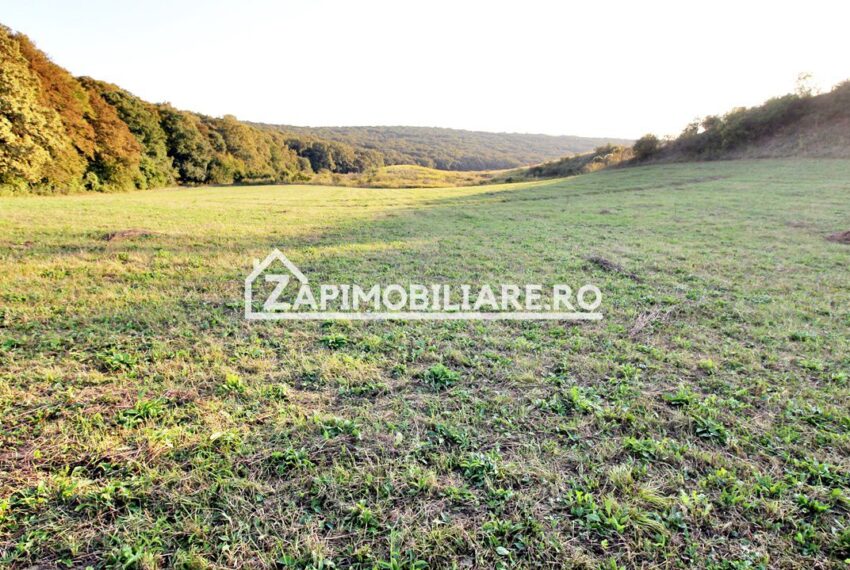 property_image_1785742_2