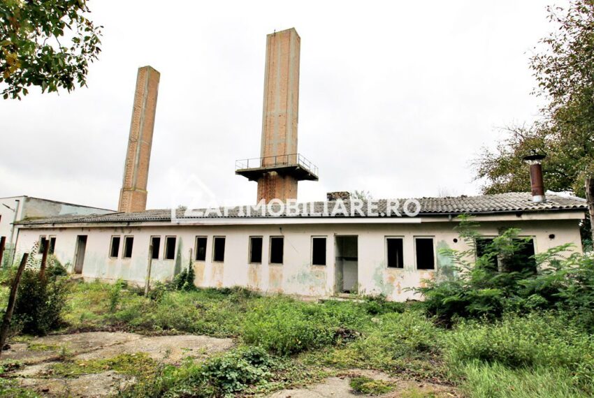 property_image_1630163_3