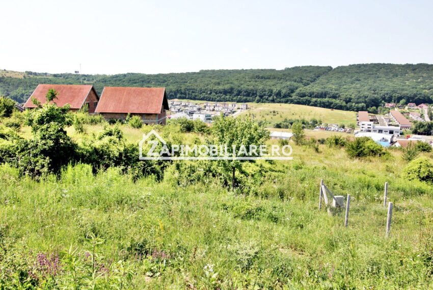 property_image_1728573_3