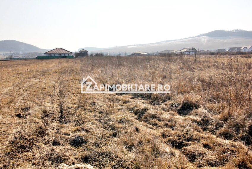 property_image_2335591_3