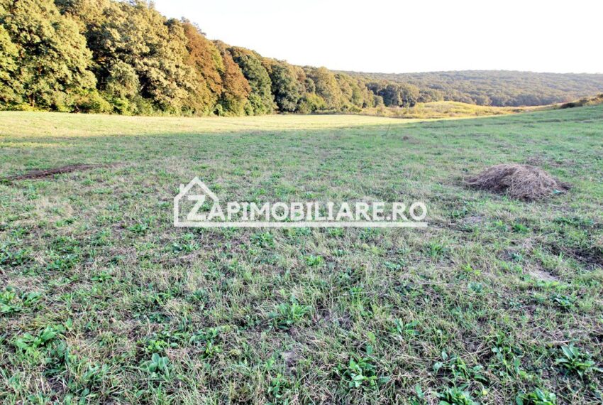 property_image_1785742_8