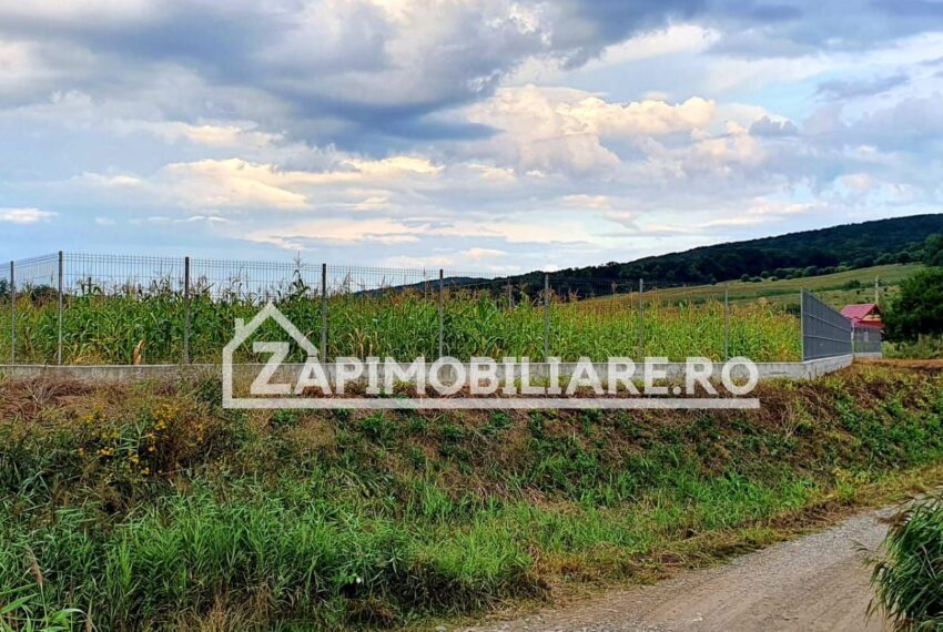 property_image_1007604_3