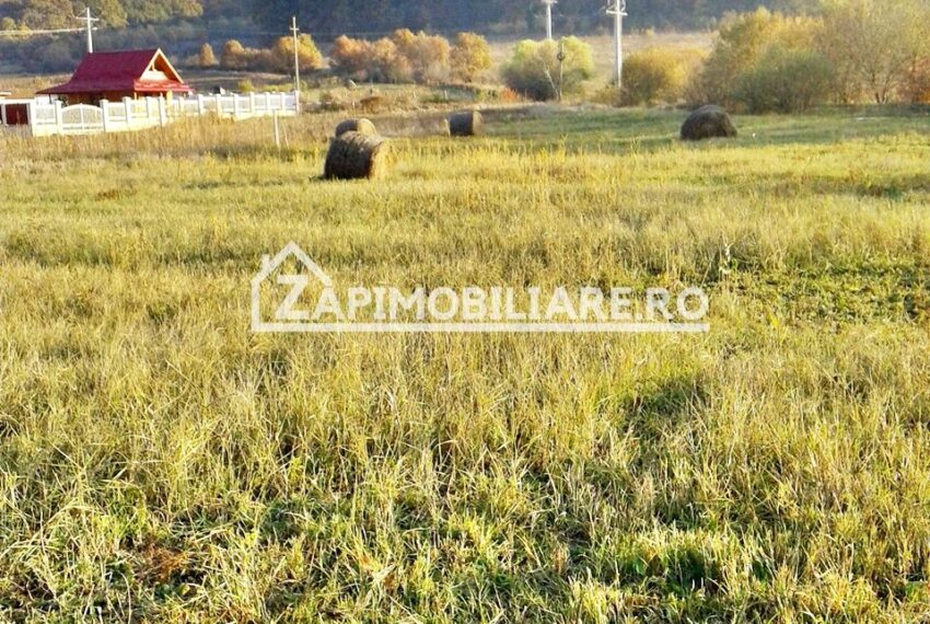 property_image_609380_12