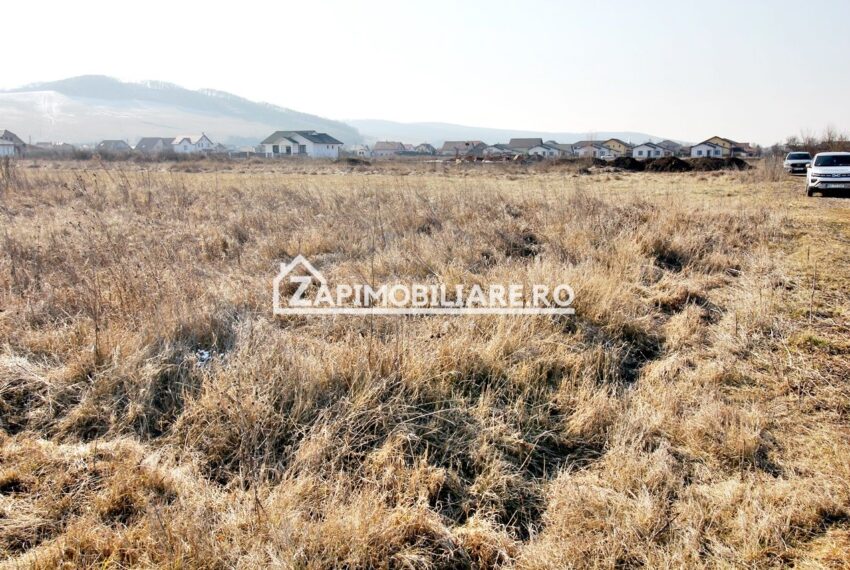 property_image_2335591_7