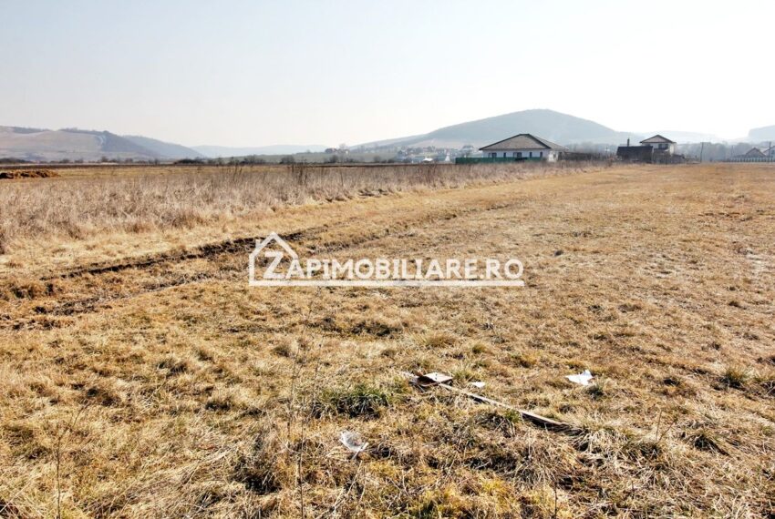 property_image_2335591_6