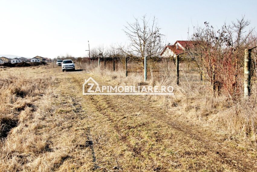 property_image_2335591_0