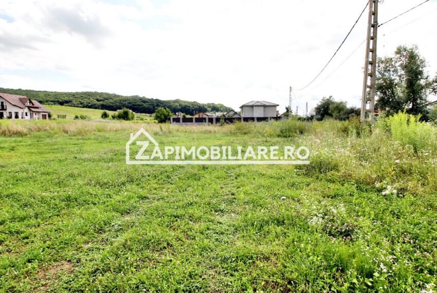 property_image_1743624_1