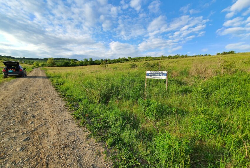 property_image_645810_2
