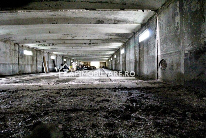 property_image_718195_5