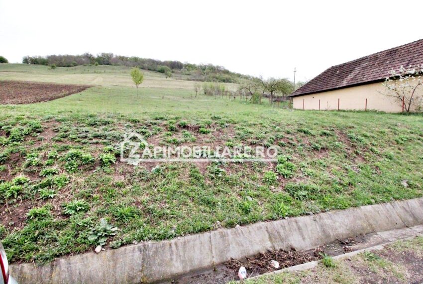 property_image_716242_2