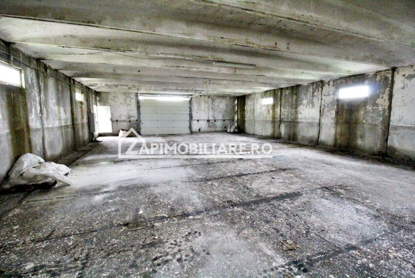 property_image_718195_6